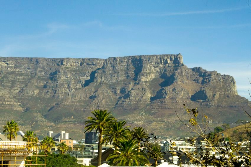 Table Mountain sobre los edificios y palmeras de Ciudad del Cabo, Sudáfrica.