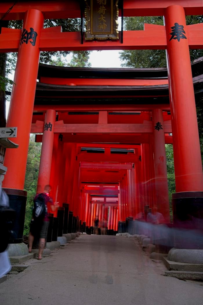 Torii de Fushimi Inari, Kioto