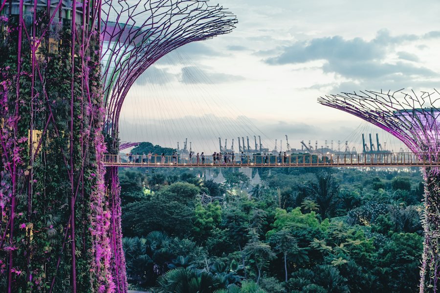 Supertree Grove en Gardens by the Bay, Singapur